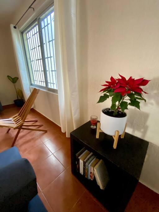 Peach35 Apartamento Centrico, 5 Min De La Playa Cancún Kültér fotó